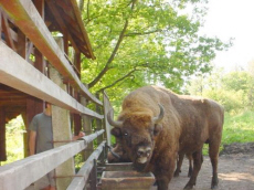 TERESA � ��������� ����� �������� ��������� ���� � ������ ������